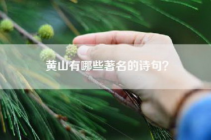 黄山有哪些著名的诗句？