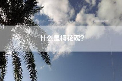 什么是梅花魂？