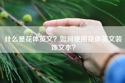 什么是花体英文？如何使用花体英文装饰文本？