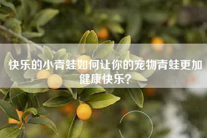 快乐的小青蛙如何让你的宠物青蛙更加健康快乐？