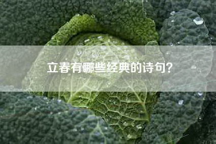 立春有哪些经典的诗句？