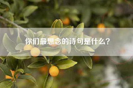 你们最想念的诗句是什么？