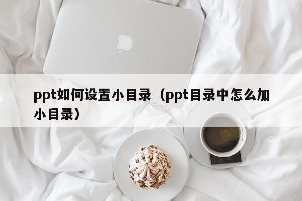 ppt如何设置小目录（ppt目录中怎么加小目录）