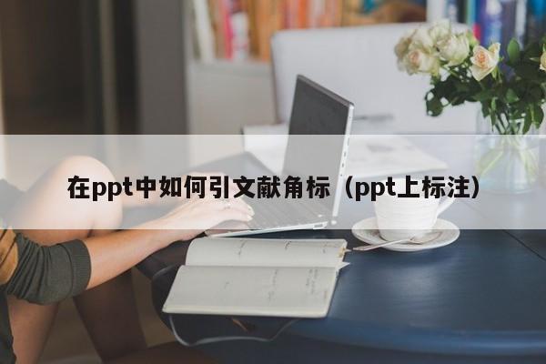 在ppt中如何引文献角标（ppt上标注）