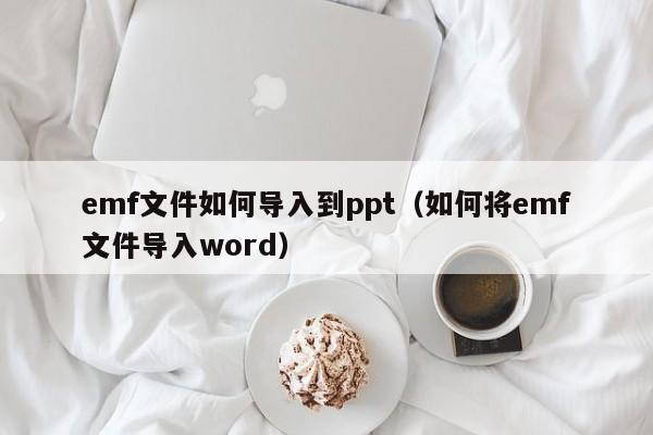 emf文件如何导入到ppt（如何将emf文件导入word）