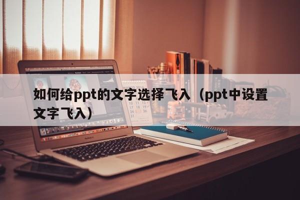 如何给ppt的文字选择飞入（ppt中设置文字飞入）