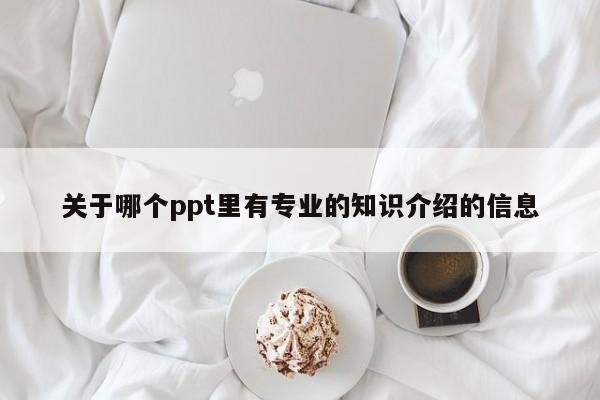 关于哪个ppt里有专业的知识介绍的信息