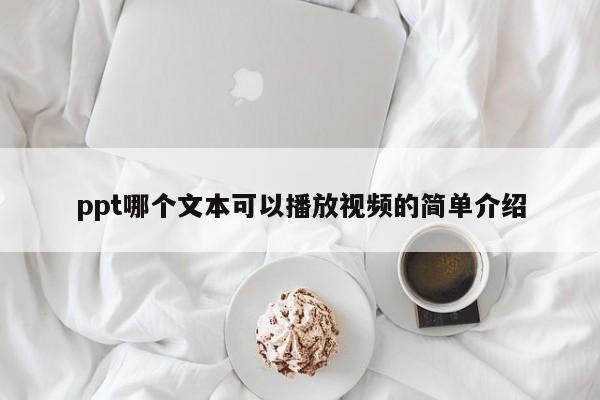 ppt哪个文本可以播放视频的简单介绍