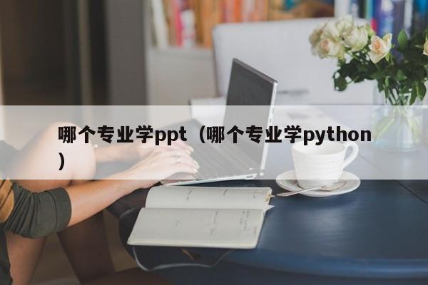 哪个专业学ppt（哪个专业学python）