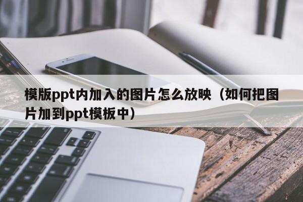 模版ppt内加入的图片怎么放映（如何把图片加到ppt模板中）