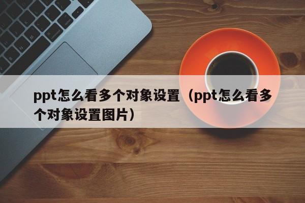ppt怎么看多个对象设置（ppt怎么看多个对象设置图片）