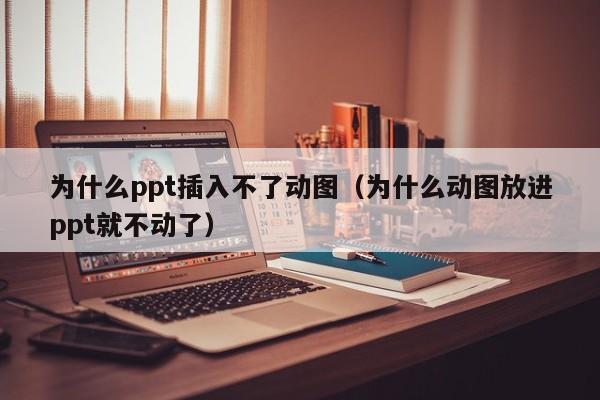 为什么ppt插入不了动图（为什么动图放进ppt就不动了）