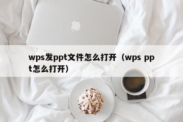 wps发ppt文件怎么打开（wps ppt怎么打开）