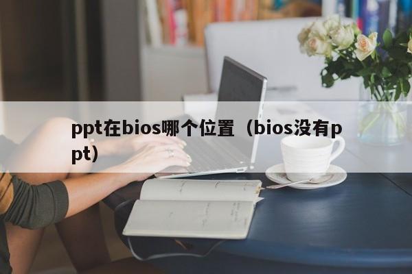 ppt在bios哪个位置（bios没有ppt）