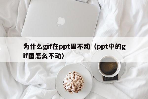 为什么gif在ppt里不动（ppt中的gif图怎么不动）
