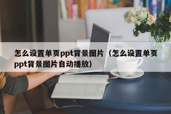 怎么设置单页ppt背景图片（怎么设置单页ppt背景图片自动播放）