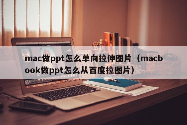 mac做ppt怎么单向拉伸图片（macbook做ppt怎么从百度拉图片）