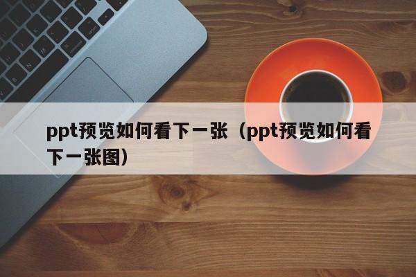 ppt预览如何看下一张（ppt预览如何看下一张图）