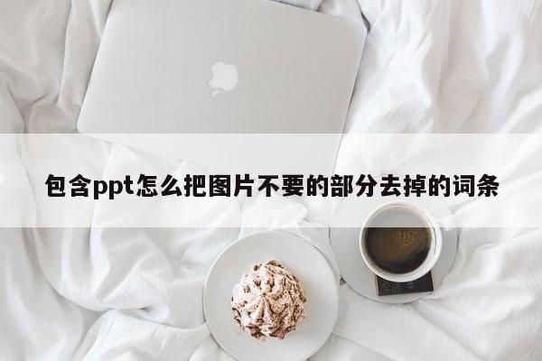 包含ppt怎么把图片不要的部分去掉的词条