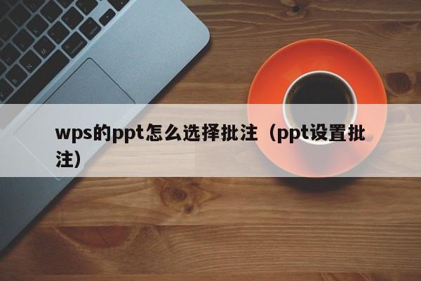 wps的ppt怎么选择批注（ppt设置批注）