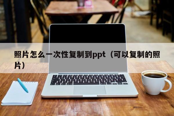 照片怎么一次性复制到ppt(可以复制的照片)
