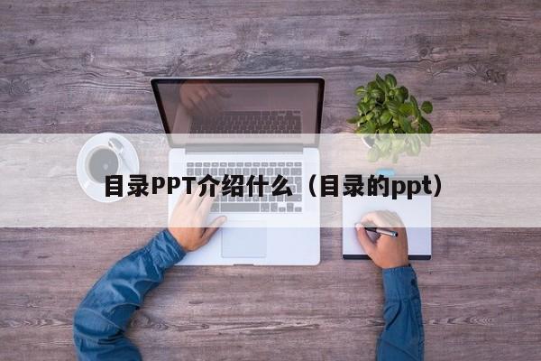 目录PPT介绍什么（目录的ppt）