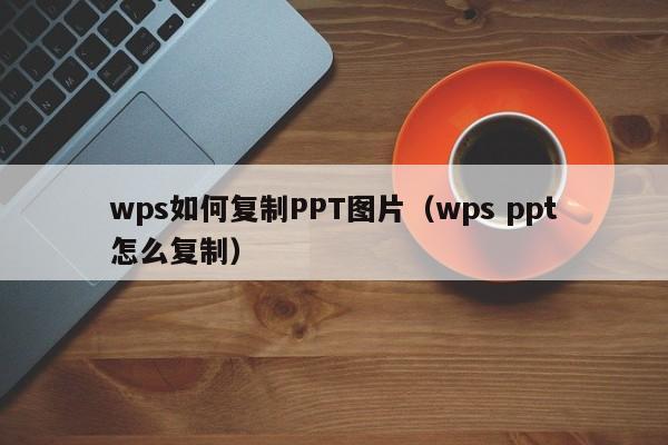 wps如何复制PPT图片（wps ppt怎么复制）