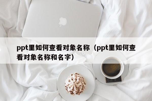 ppt里如何查看对象名称（ppt里如何查看对象名称和名字）