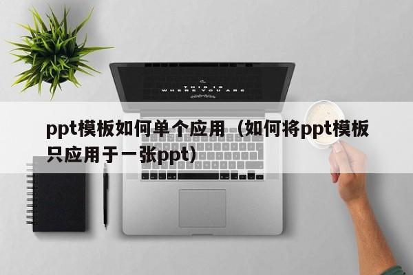 ppt模板如何单个应用（如何将ppt模板只应用于一张ppt）