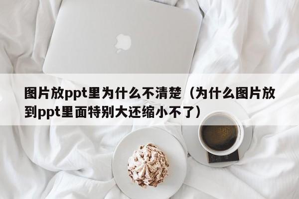 图片放ppt里为什么不清楚（为什么图片放到ppt里面特别大还缩小不了）