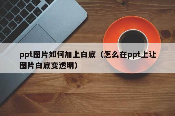 ppt图片如何加上白底（怎么在ppt上让图片白底变透明）