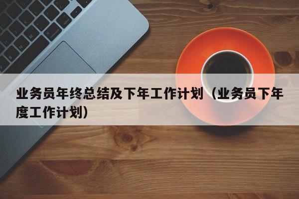 业务员年终总结及下年工作计划（业务员下年度工作计划）