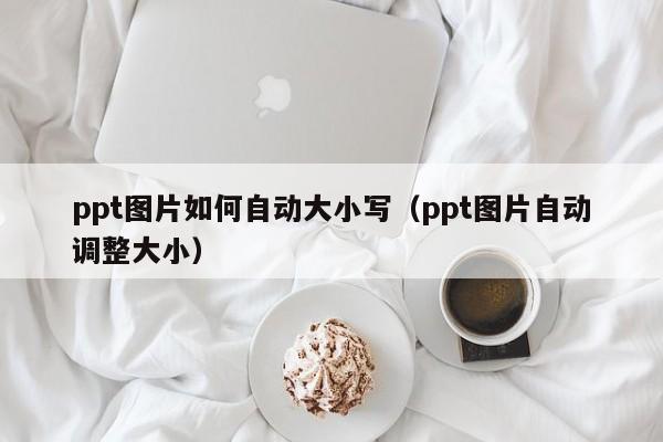 ppt图片如何自动大小写（ppt图片自动调整大小）