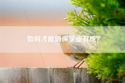 如何才能确保学业有成？