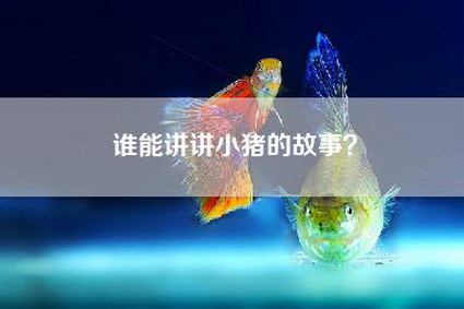 谁能讲讲小猪的故事？