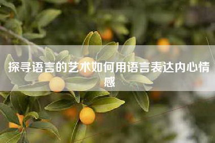 探寻语言的艺术如何用语言表达内心情感