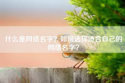 什么是网络名字？如何选择适合自己的网络名字？