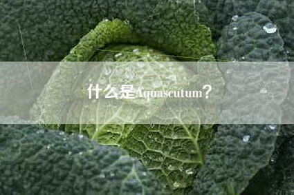 什么是Aquascutum？