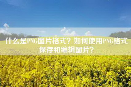 什么是PNG图片格式？如何使用PNG格式保存和编辑图片？