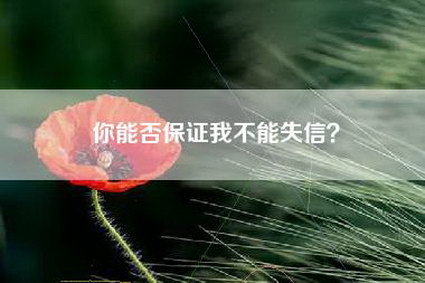 你能否保证我不能失信？