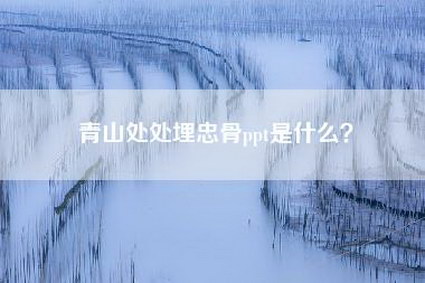 青山处处埋忠骨ppt是什么？