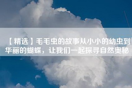 【精选】毛毛虫的故事从小小的幼虫到华丽的蝴蝶，让我们一起探寻自然奥秘