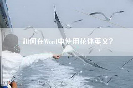 如何在Word中使用花体英文？