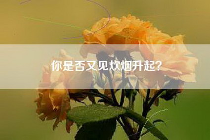 你是否又见炊烟升起？