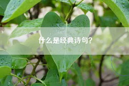 什么是经典诗句？