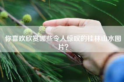 你喜欢欣赏哪些令人惊叹的桂林山水图片？