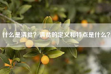 什么是清贫？清贫的定义和特点是什么？