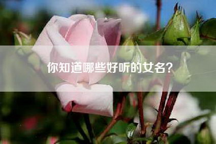 你知道哪些好听的女名？