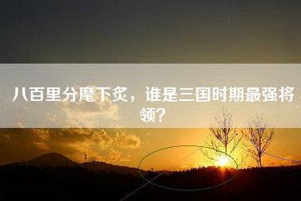 八百里分麾下炙，谁是三国时期最强将领？